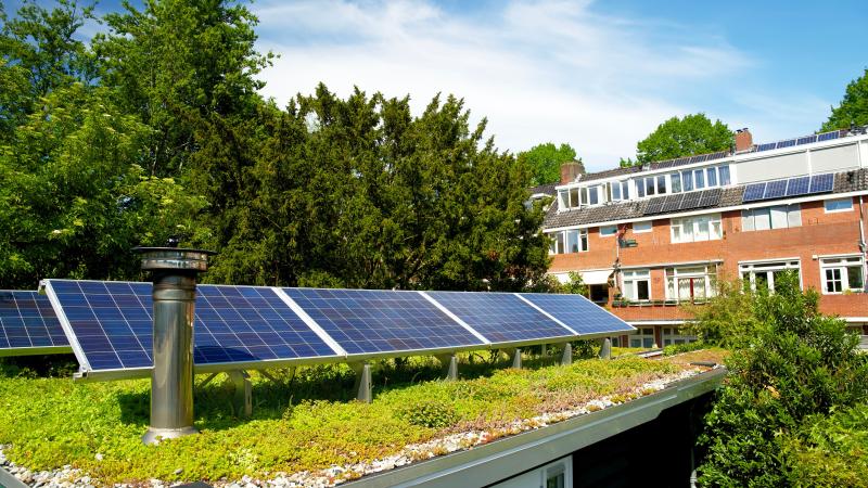 Zonnepanelen met groendak