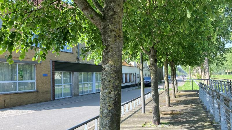 Bomen Wulpen