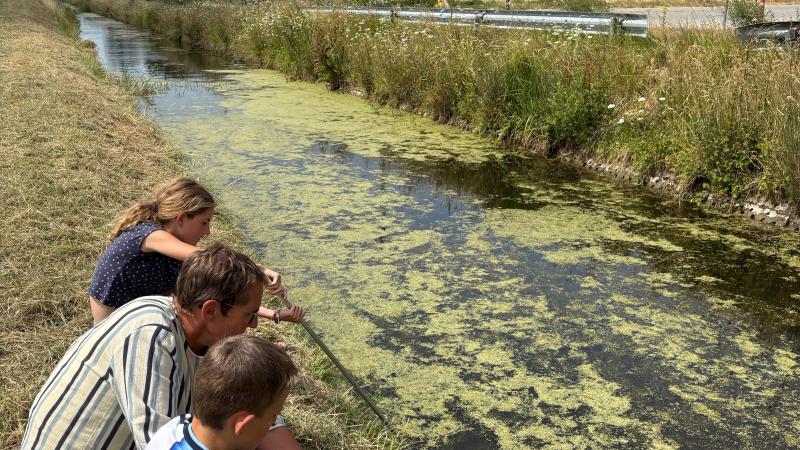 Waterscheppen Langgeleed